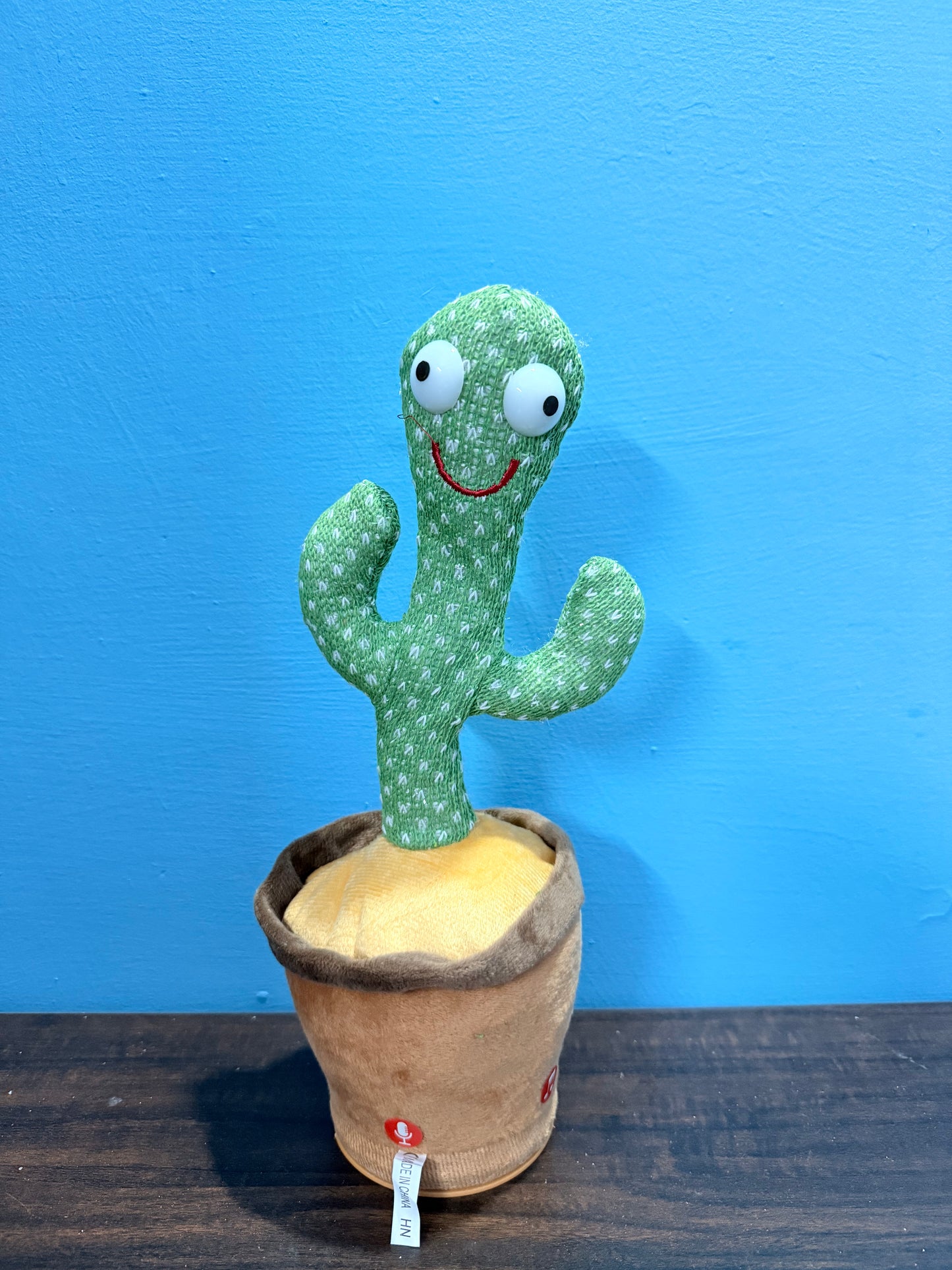 Dancing & Talking Cactus Toy β Sings, Records, Repeats You! Rechargeable, Lights Up, Fun for Toddlers. Includes USB Cable