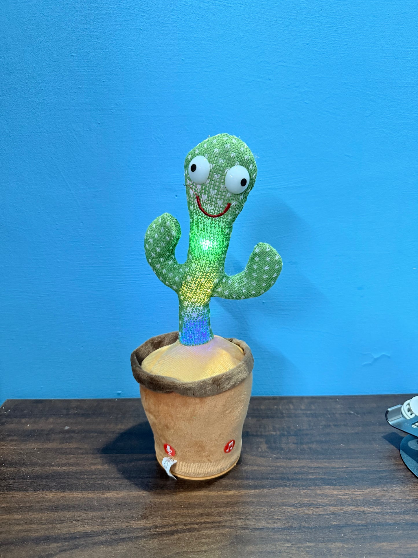 Dancing & Talking Cactus Toy β Sings, Records, Repeats You! Rechargeable, Lights Up, Fun for Toddlers. Includes USB Cable